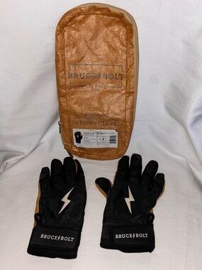 Bruce Bolt Premium Pro Batting Glove Carry Case in Copper